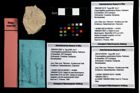 Foto (Objekt + Etikett) von Cracensigillatus gracilirostrus (Robins, Feldmann & Schweitzer, 2013)  (NHMW-GEO-1990-0041-3319)